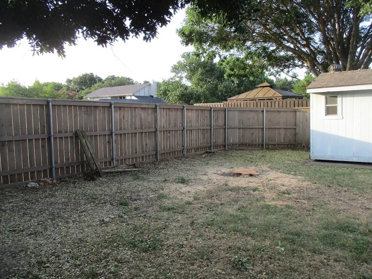 Cleared yard after professional tree removal in Toledo
