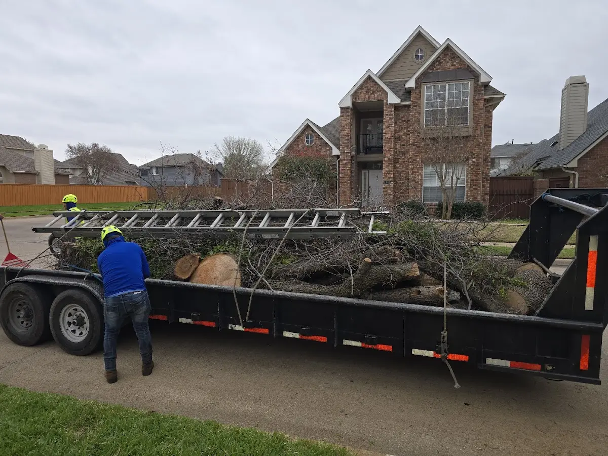 Expert Tree Removal with proper safety equipment in Toledo